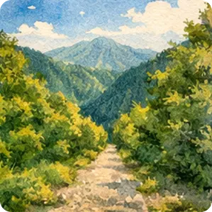 rutas