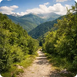 rutas