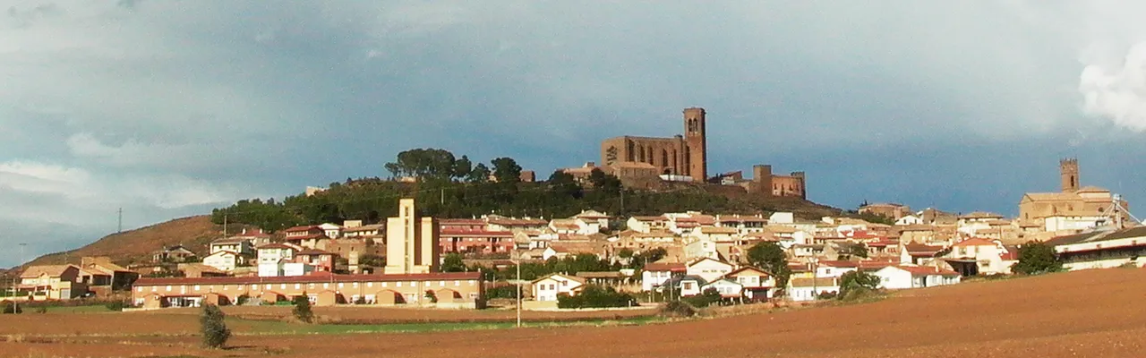 Foto de Artajona  / Artaxona